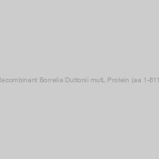 Image of Recombinant Borrelia Duttonii mutL Protein (aa 1-611)